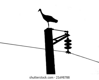 vector silhouette of the crane on electric pole