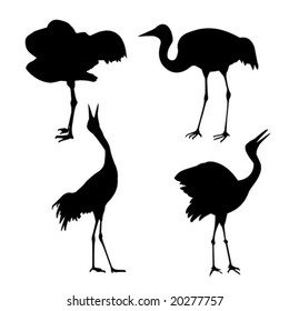 vector silhouette of the cranes on white background