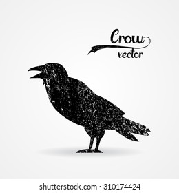 Vector silhouette of a crow
