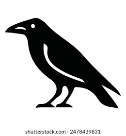 vector silhouette crow design, detailed and stylized black bird illustrations
