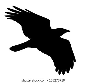 Vector Silhouette Crow Flight Stock Vector (Royalty Free) 185278919 ...