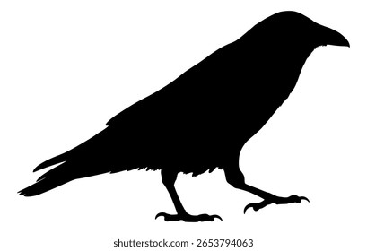 Vector Silhouette Of A Crow Walking.