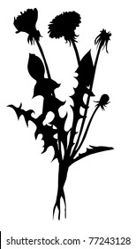 vector silhouette dandelion on white background