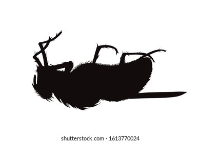 Vector silhouette of death fly on white background. Symbol of insect die body.