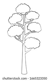 Vector silhouette of deciduous tree. Stylized contour for logo design, clothing decoration, tattoo or greeting card. Isolated stock illustration on a white background.