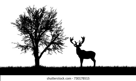 Download Deer Tree Silhouette High Res Stock Images Shutterstock