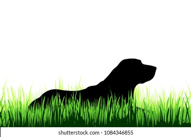 Vector silhouette of deer on a meadow on white background.