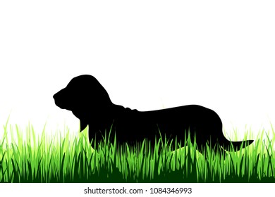 Vector silhouette of deer on a meadow on white background.