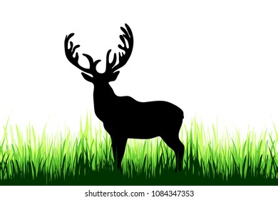 Vector silhouette of deer on a meadow on white background.