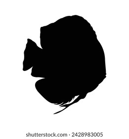 Vektor-Silhouetten-Design von Diskusfisch oder Gattung Symphysodon
