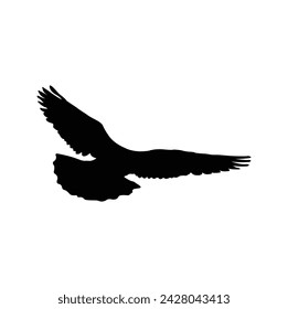 vector silhouette design
pigeons on a white background