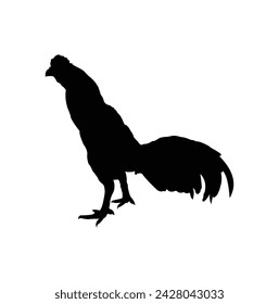 diseño de silueta vectorial
Gallo sobre fondo blanco
