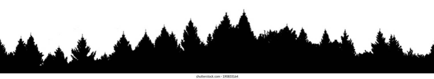 Vector silhouette of detailed and seamless Spruce Forest with hills.