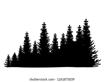 Vector silhouette of detailed Spruce forest.