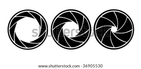 vector silhouette of the diaphragm on white background