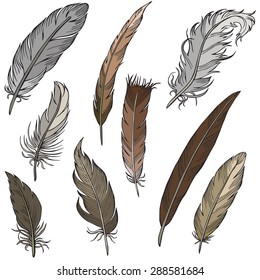 vector silhouette of different feathers