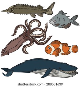 vector silhouette of different fish