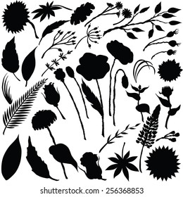Vector silhouette of different flowers
