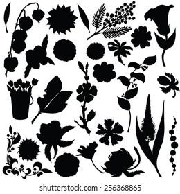 Vector silhouette of different flowers