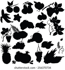 Vector silhouette of different fruits