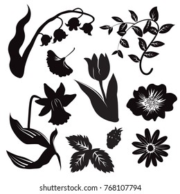 Vector silhouette of different kinds of flowers