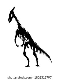 Vector silhouette of dinosaurs skeleton. Hand drawn dino skeleton. Dinosaur bones, exhibit fossils in the museum