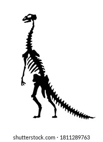 Vector silhouette of dinosaurs skeleton. Hand drawn dino skeleton. Dinosaur bones, exhibit fossils in the museum