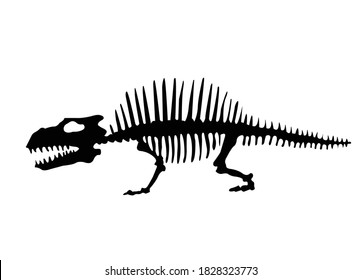 Vector silhouette of dinosaurs skeleton. Hand drawn dino skeleton. Dinosaur bones, exhibit fossils in the museum