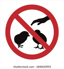 Vector silhouette of do not touch chicken mark on white background. Symbol of prohibition with animal.