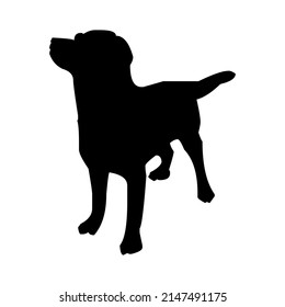 Vector silhouette of a dog