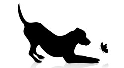 Vector Silhouette Of Dog With Butterfly On White Background.