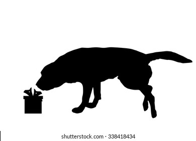 Vector silhouette of a dog with a gift.