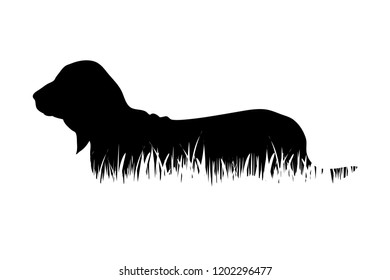 Vector silhouette of dog in the grass on white background.