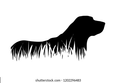 Vector silhouette of dog in the grass on white background.