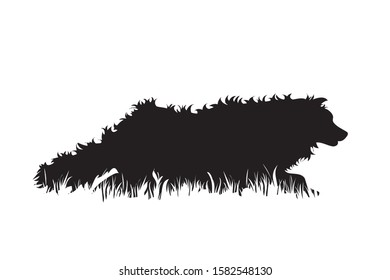 Vector silhouette of dog in the grass on white background. Symbol of animal, pet, run, nature, park, garden.