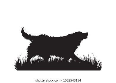 Vector silhouette of dog in the grass on white background. Symbol of animal, pet, run, nature, park, garden.