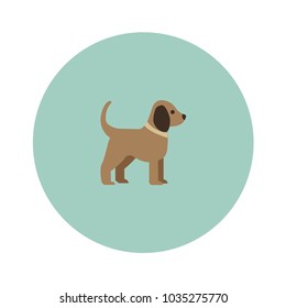 Vector silhouette of a dog isolated on a color background.