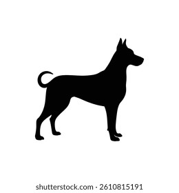 Vector silhouette of a dog isolated on white background 