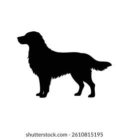Vector silhouette of a dog isolated on white background 