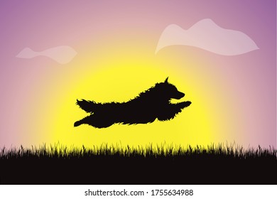 Vector silhouette of dog jumping in the grass at sunset. Symbol of nature.