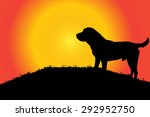 Vector silhouette of a dog in nature.