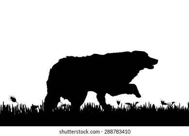 Vector silhouette of a dog in nature.