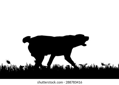 Vector silhouette of a dog in nature.