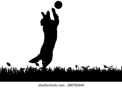 Vector silhouette of a dog in nature.