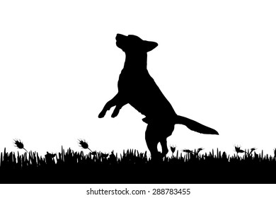 Vector silhouette of a dog in nature.