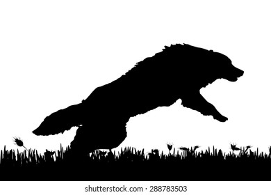 Vector silhouette of a dog in nature.