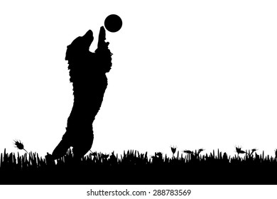 Vector silhouette of a dog in nature.