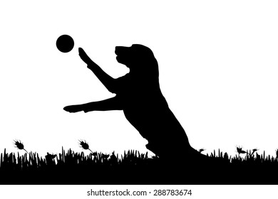 Vector silhouette of a dog in nature.