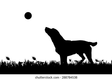 Vector silhouette of a dog in nature.