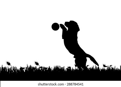 Vector silhouette of a dog in nature.